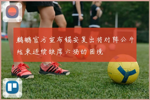 鹈鹕官方宣布锡安复出将对阵公牛结束连续缺席六场的困境